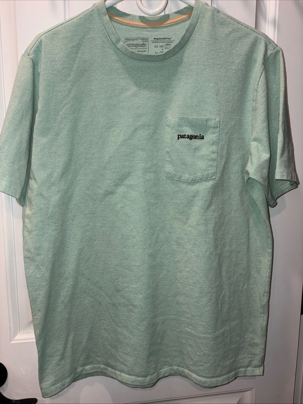 Patagonia Men’s Pocket T-Shirt in Light Mint size medium